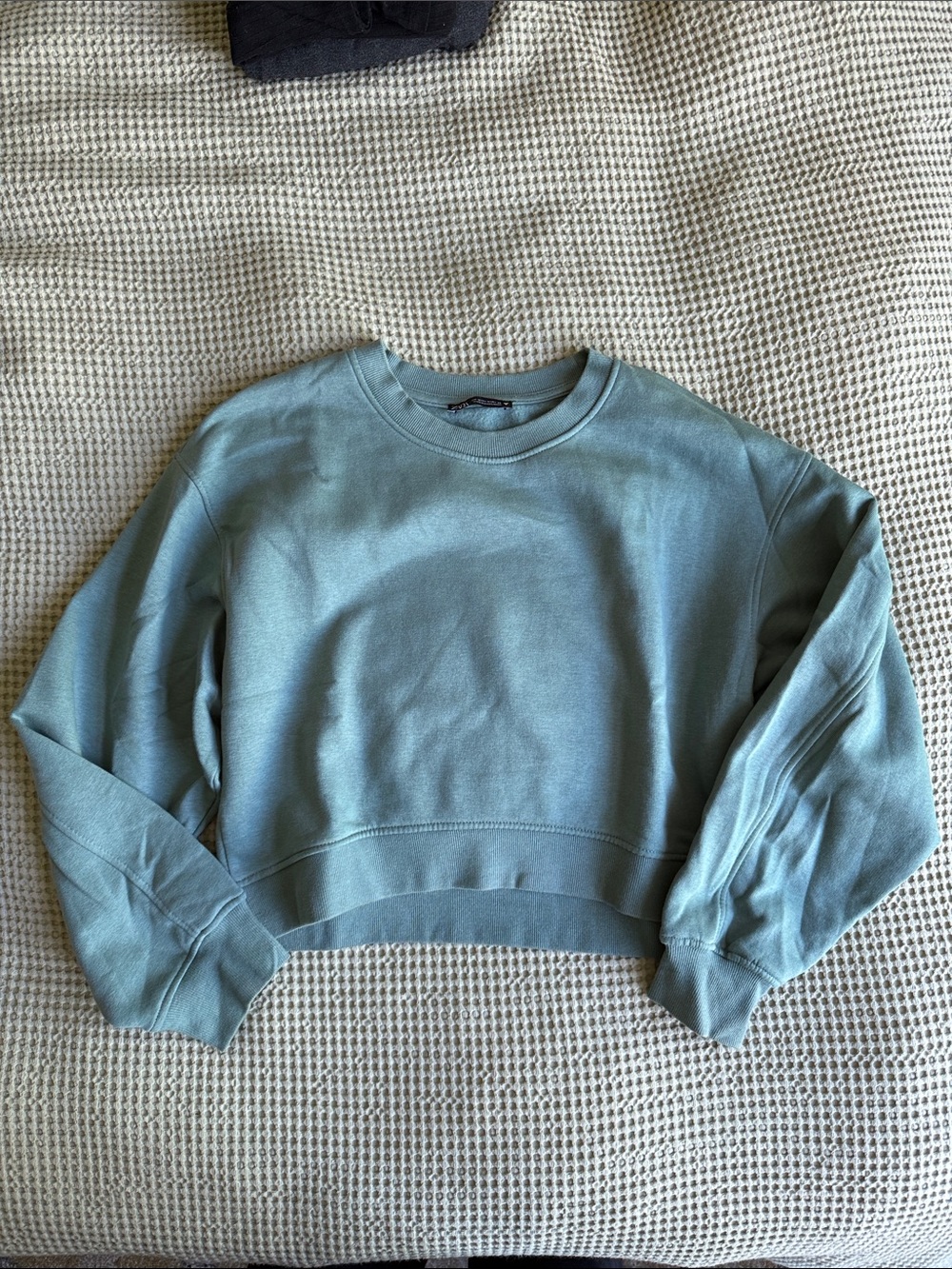 Zara Light Teal/sage Crewneck Sweater